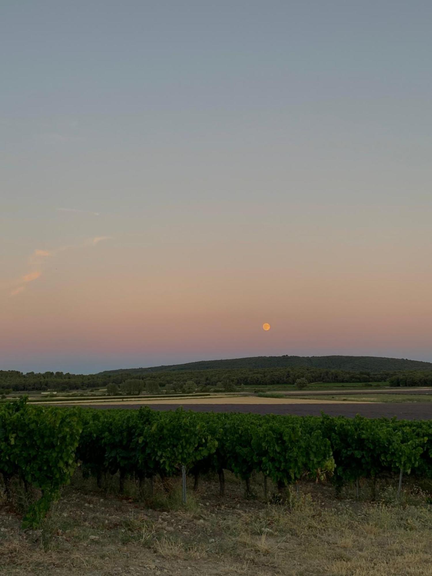 Bed and Breakfast Domaine Du Commandeur Mondragon Екстер'єр фото