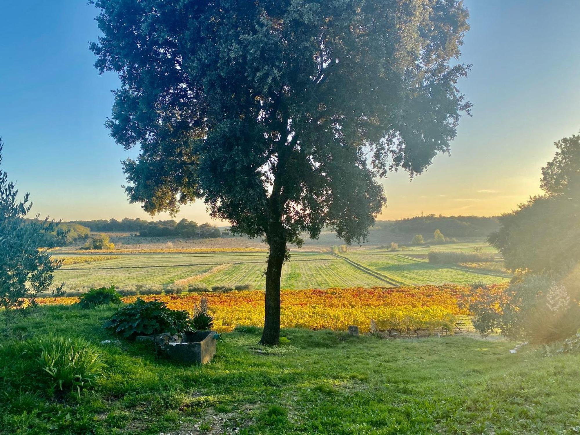 Bed and Breakfast Domaine Du Commandeur Mondragon Екстер'єр фото